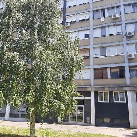 Apartament Blue Danube Belgrad Zewnętrze zdjęcie