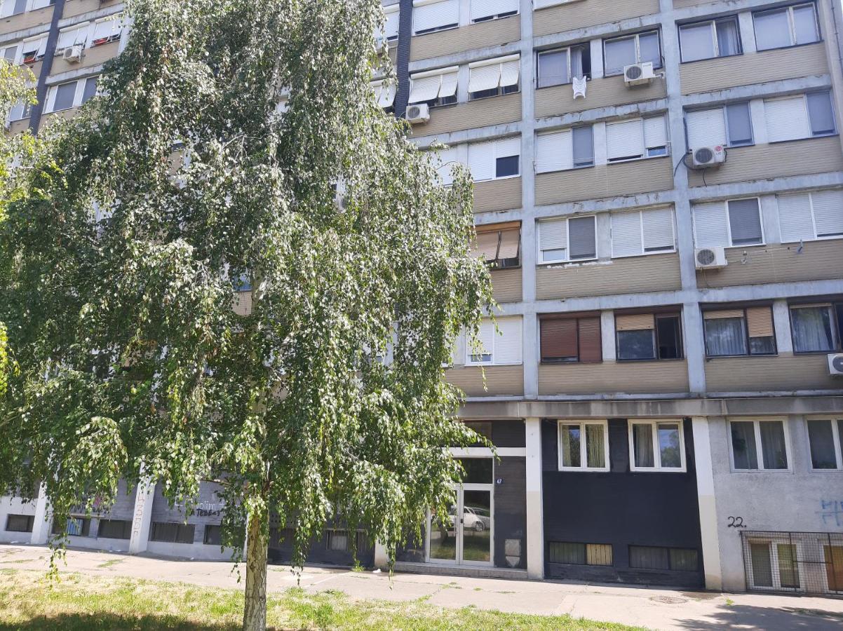 Apartament Blue Danube Belgrad Zewnętrze zdjęcie